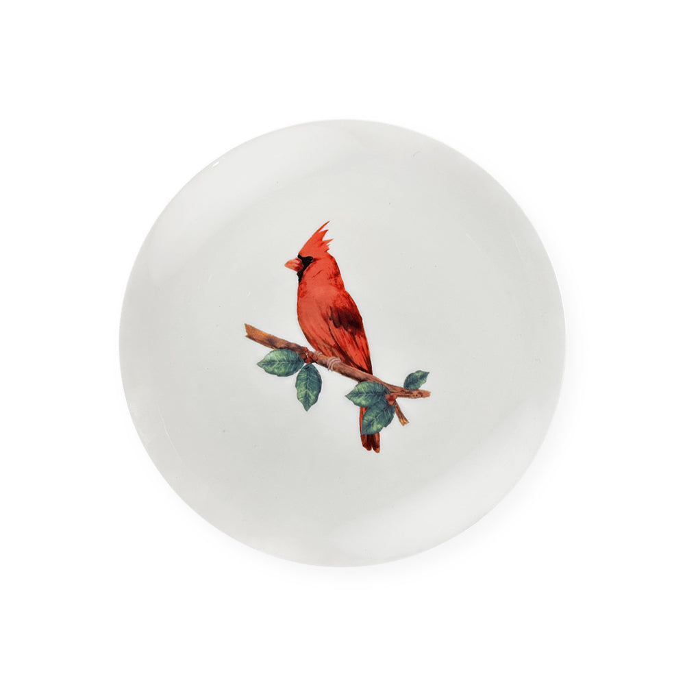 Platos de porcelana de ensalada, con dibujo de pájaro rojo de Cardenal perfecto para Navidad, de la marca Zash. 20 cm diámetro