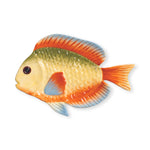 Plato para servir de pez arcoiris de dolomita