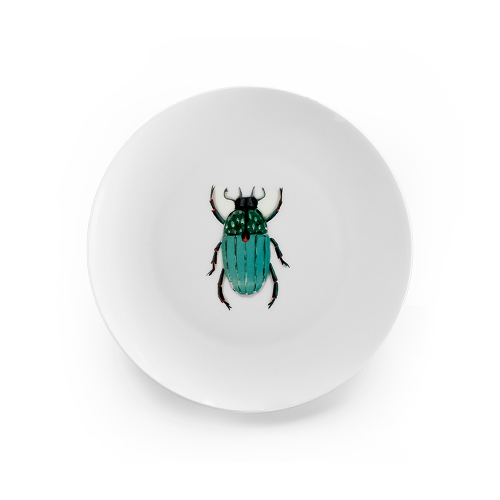 Plato mediano de ensalada o postre de porcelana marca Zash, con ilustración de escarabajo 