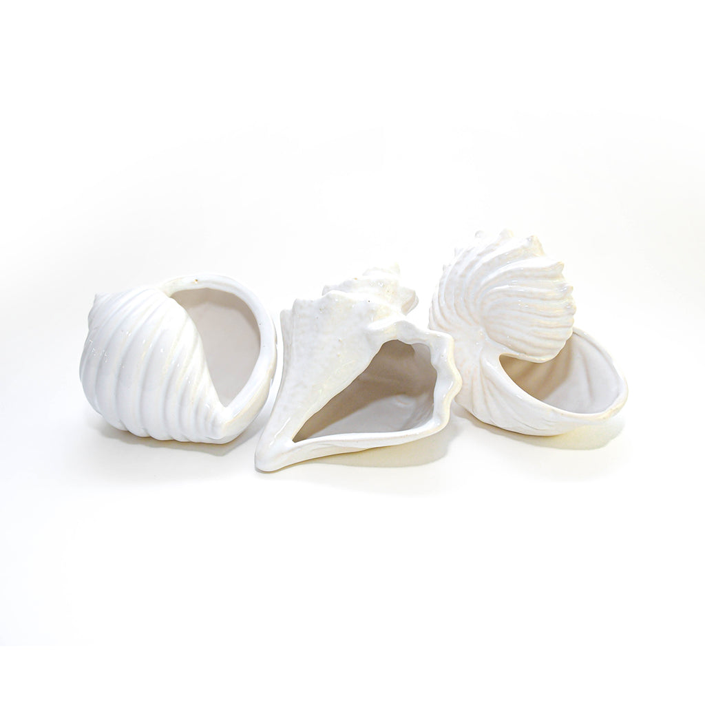 Juego de 3 floreros en forma de caracoles marinos y conchas de cerámica blanca, perfectos para tu mesa de playa o verano. Úsalos de florero, para servir botana o de decoración
