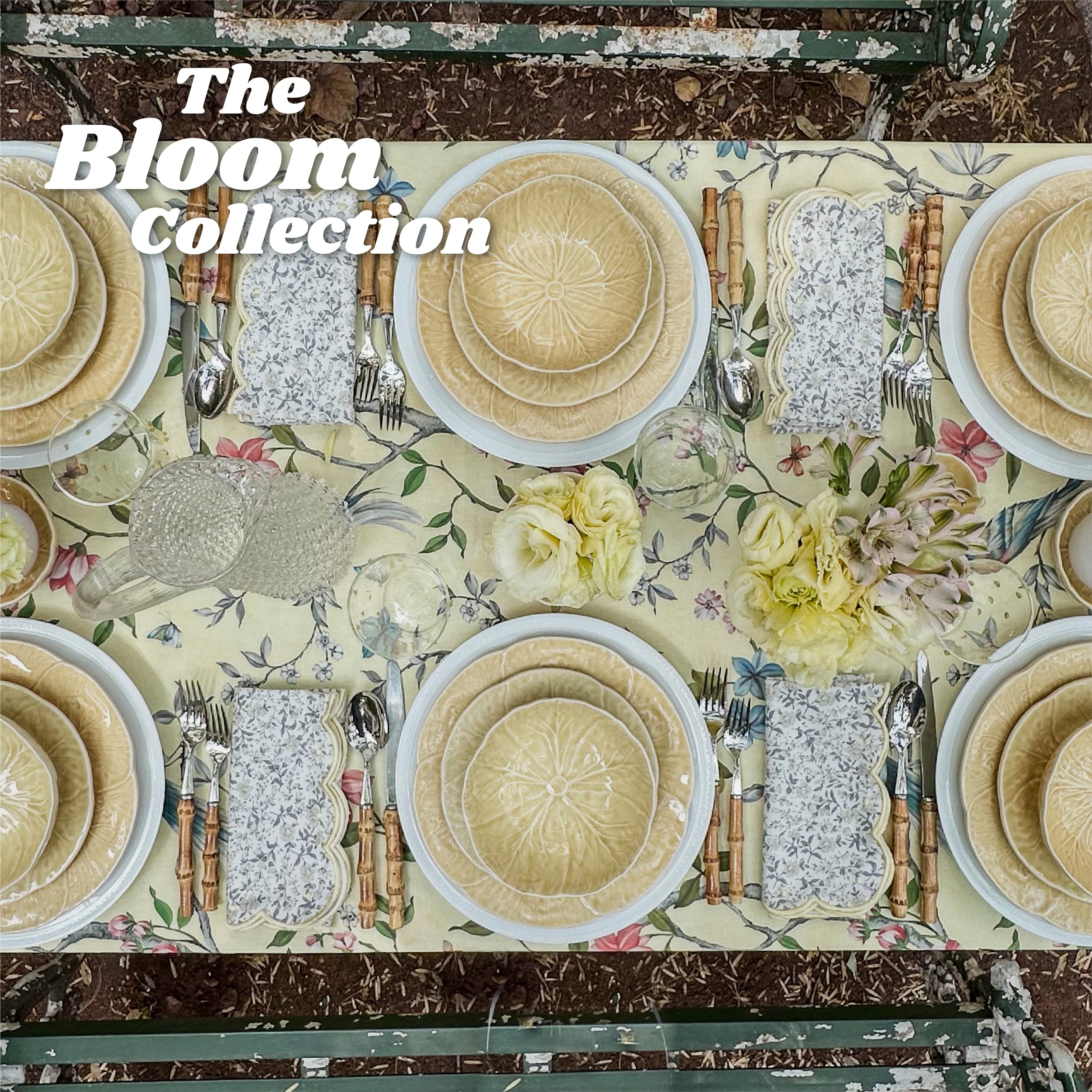 The Bloom Collection