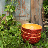 Bowl Amazonia Rojo 17 cm. Set de 4