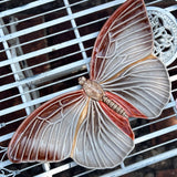 Mariposa Grande para Pared 49 cm.