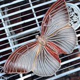 Mariposa Grande para Pared 49 cm.
