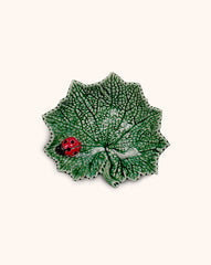 Plato Hoja Cineraria con Catarina.