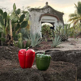 Caja Pimiento Verde Chica 14 cm