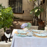 Individual Big Daisy de Yute con Orilla Bordada en Ivory. Set de 4