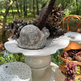 Caracol de Piedra para Decorar