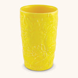 Vaso Alto Carmen Limones 600 ml