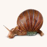 Caracol Mediano