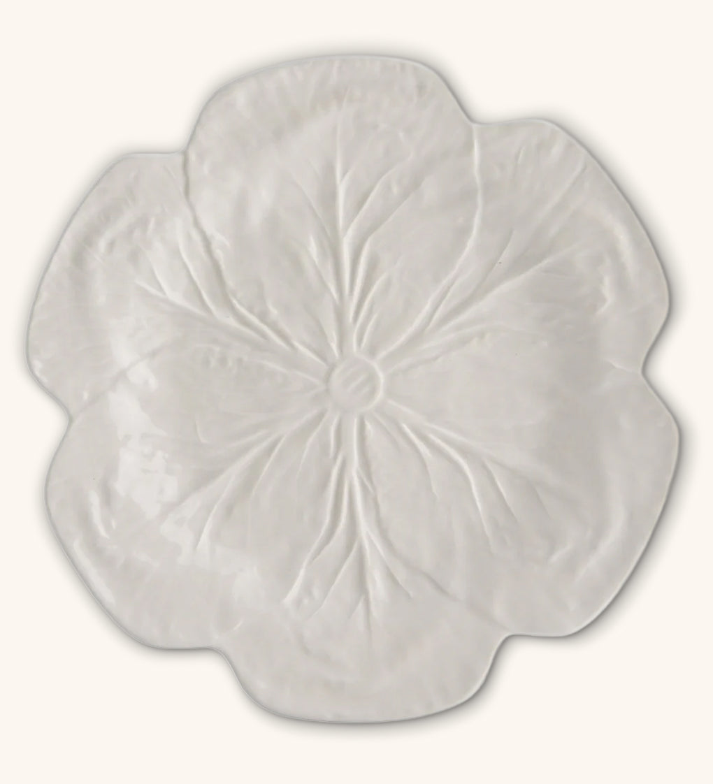 Bajo Plato Repollo Blanco