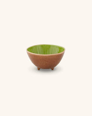 Bowl Kiwi 14 cm. Set de 4