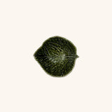 Bowl Pequeño Hoja Verde Gudrun 17 cm