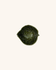Bowl Pequeño Hoja Verde Gudrun 17 cm