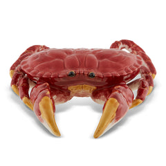 Buey de Mar Decorativo