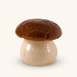 Caja Hongo Mediana 18 cm