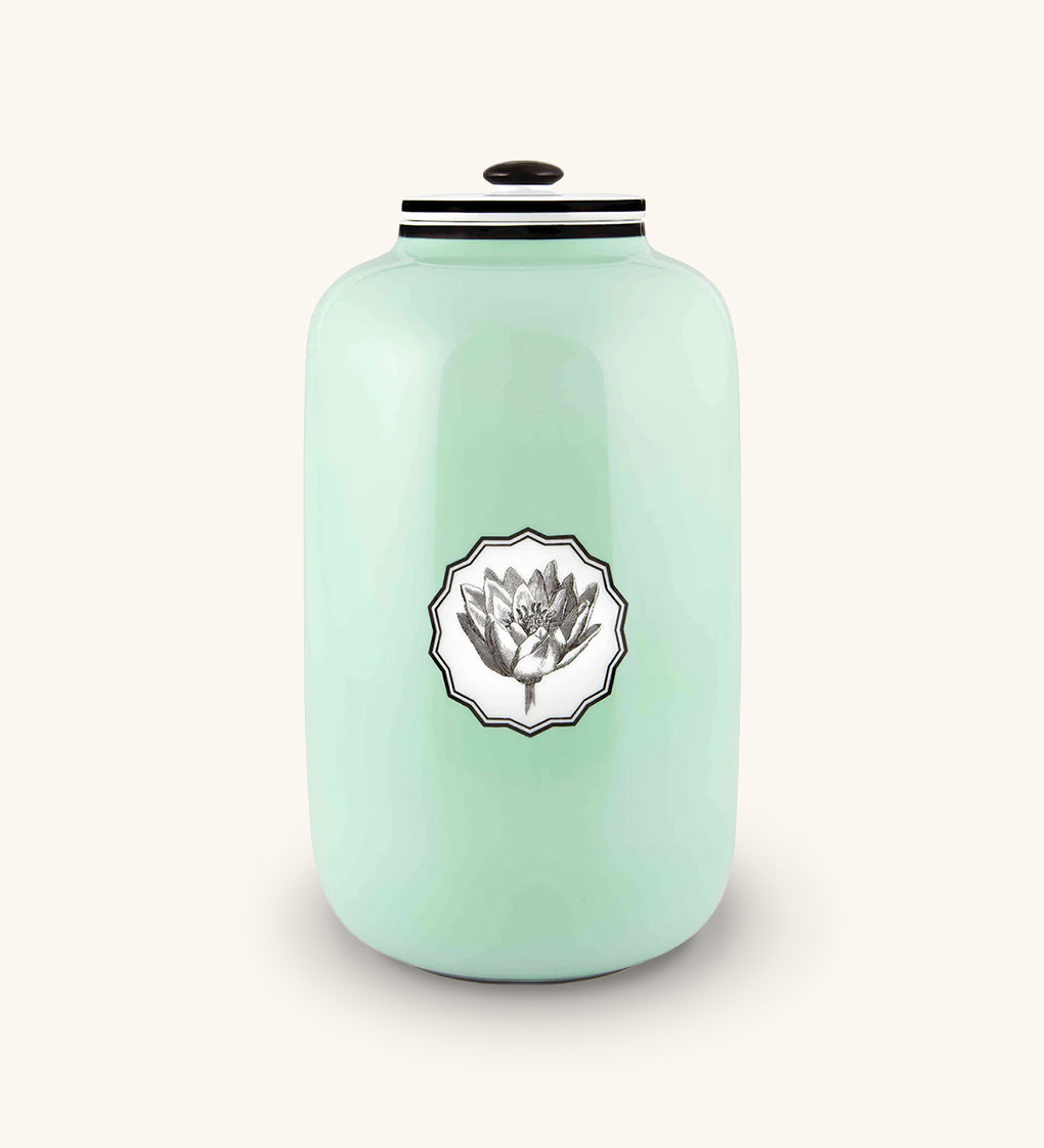 Caja Macau Herbariae