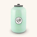 Caja Macau Herbariae