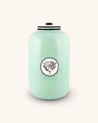 Caja Macau Herbariae