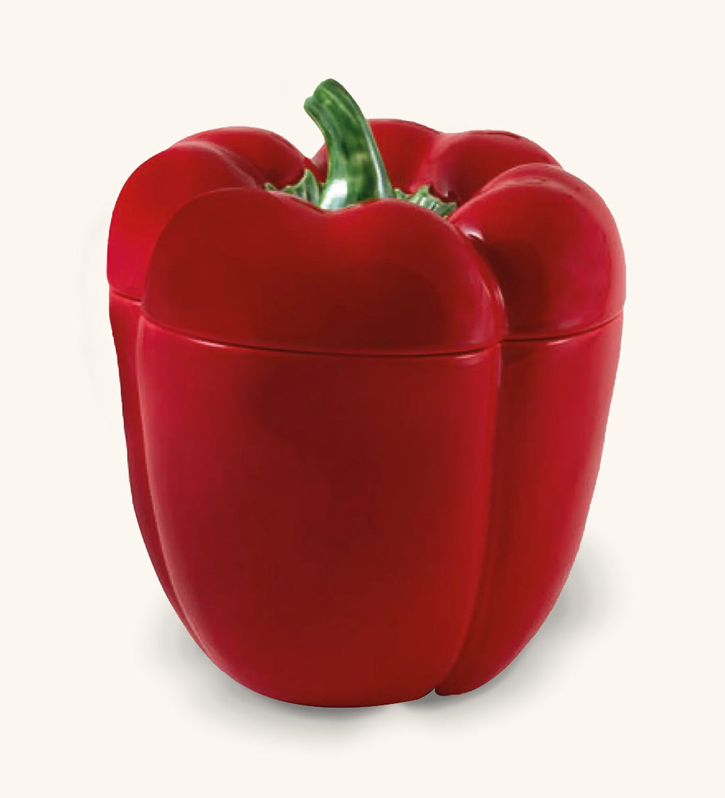 Caja Pimiento Rojo Grande 28 cm