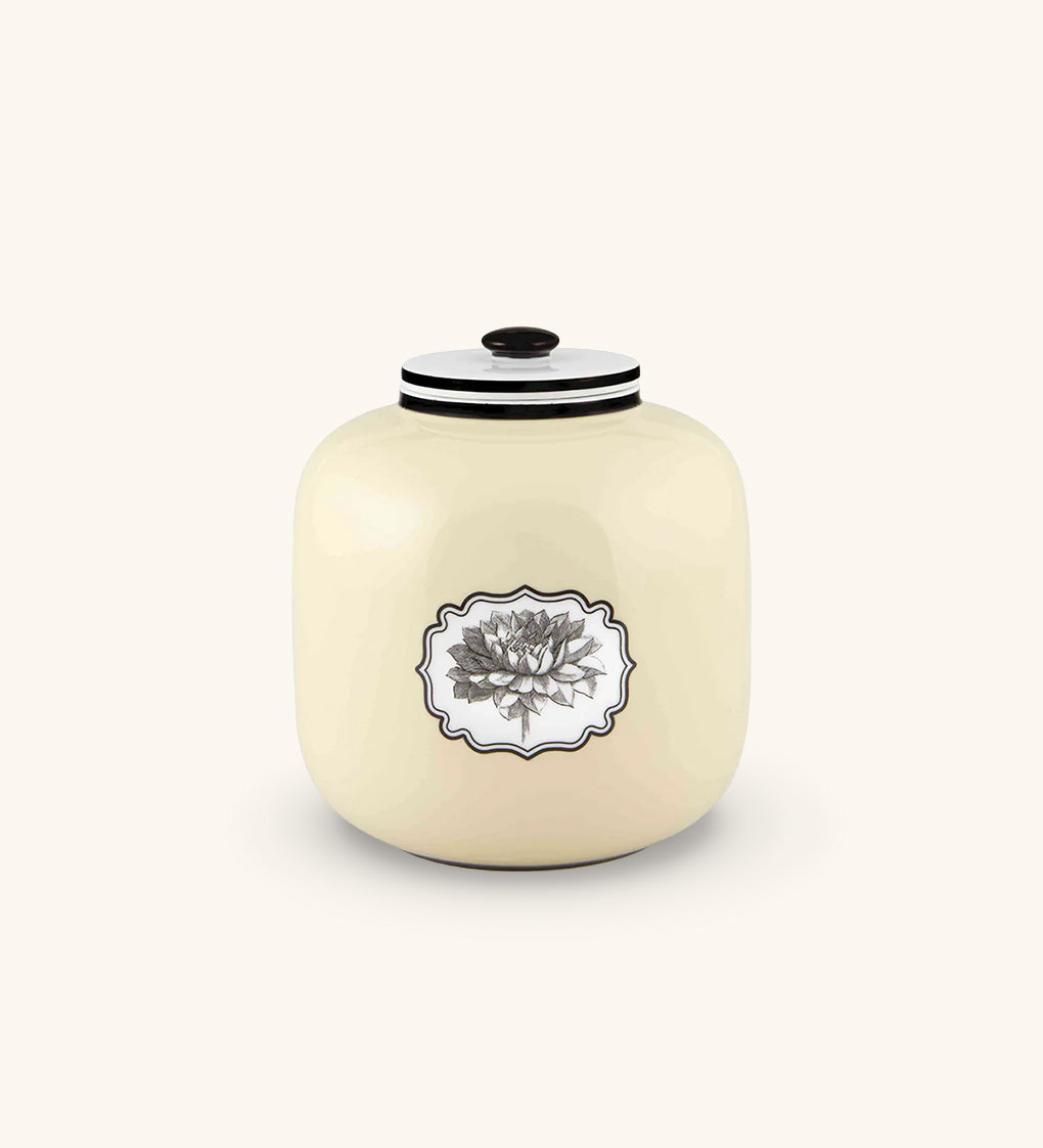 Caja Timor Herbariae