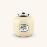 Caja Timor Herbariae