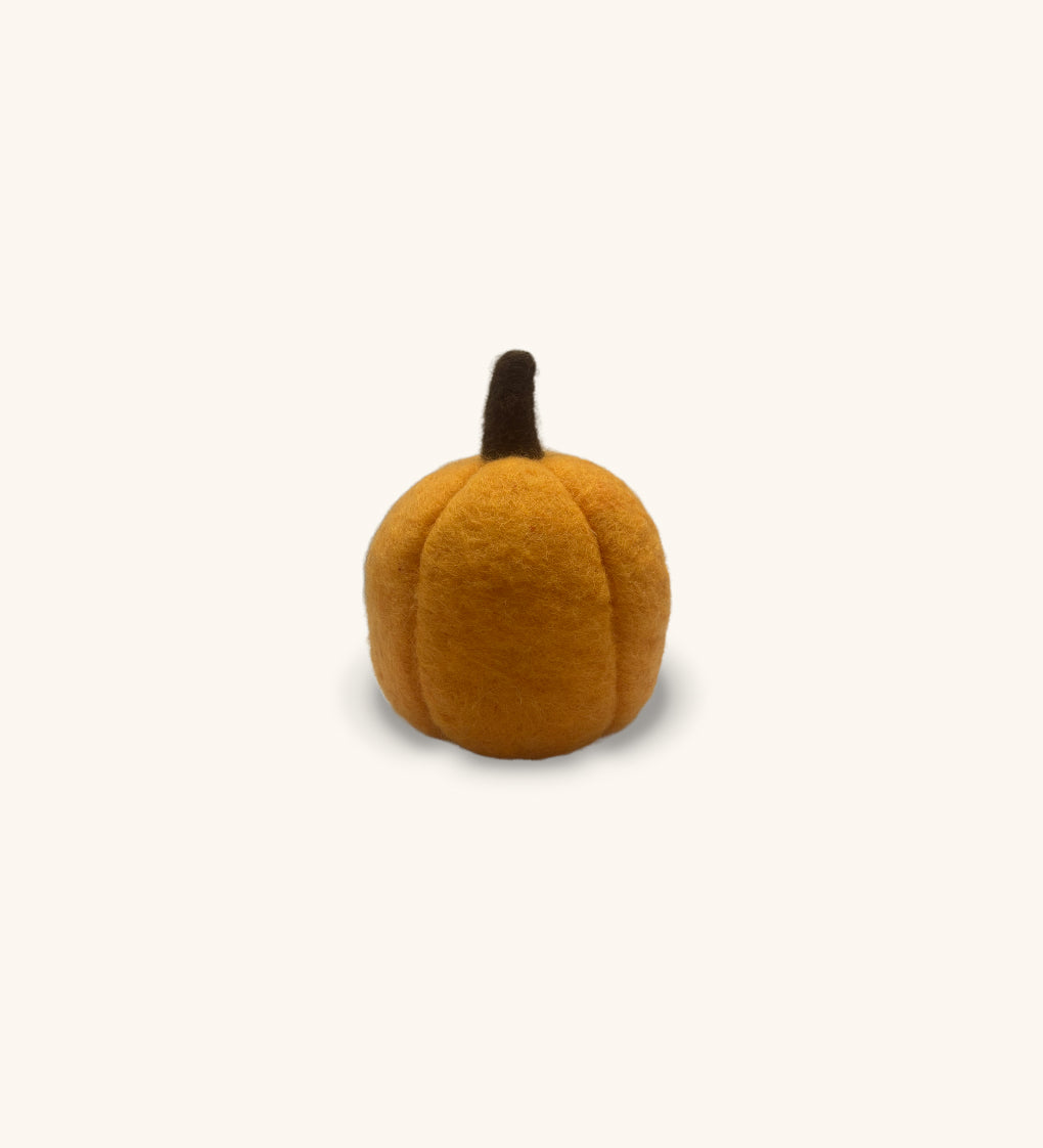 Calabaza de Felpa Naranja Grande