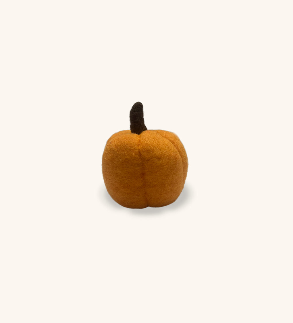 Calabaza de Felpa Naranja Mediana