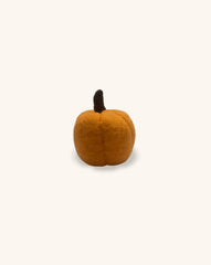 Calabaza de Felpa Naranja Mediana. 1 Pieza