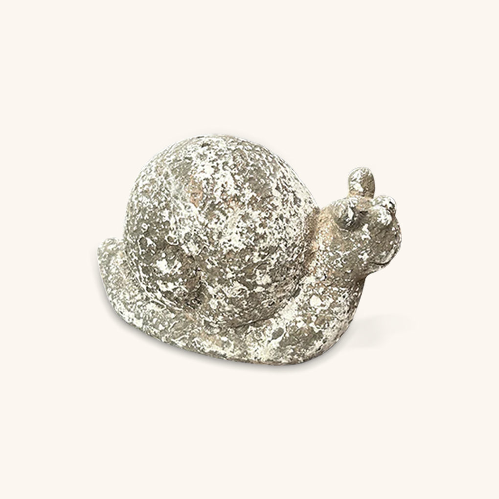 Caracol de Piedra para Decorar