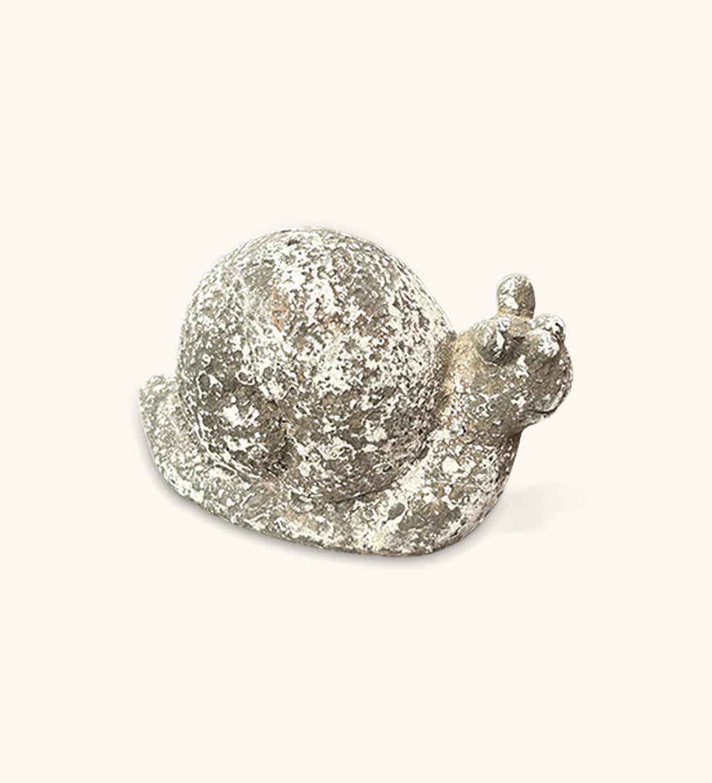 Caracol de Piedra para Decorar