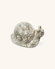 Caracol de Piedra para Decorar