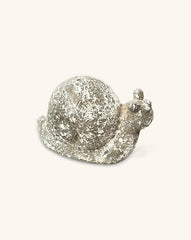 Caracol de Piedra para Decorar