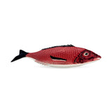 Fuente Pez Mediana 42 cm
