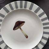 Plato Trinche Candy Cane Gris. Set de 4