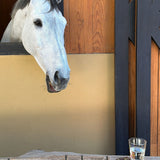 Cocteleras de Caballo en Tercipelo Bordado. Set de 4