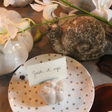 Caracol de Piedra para Decorar