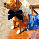 Vasos Tumbler Pippa con Puntitos Azules, set de 6