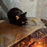 Gato Cazando Decorativo