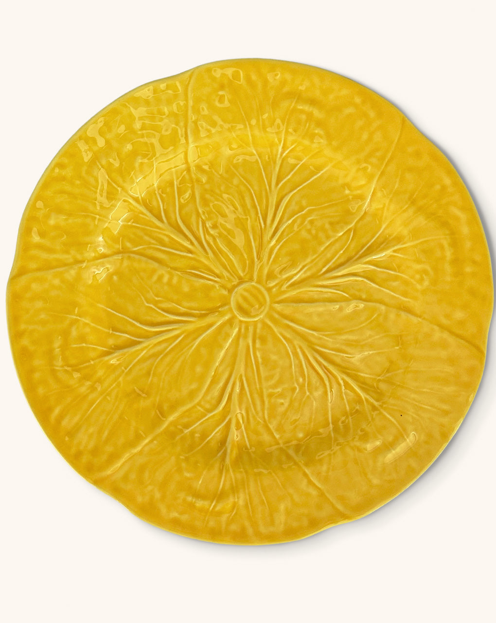 Platos repollo amarillo 