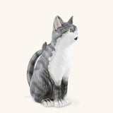 Jarra Gato 1.2 L