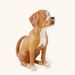 Jarra 1,2L Perro de Caza