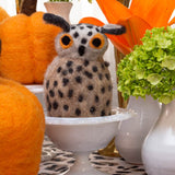 Calabaza de Felpa Pequeña. 1 Pieza