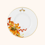 Plato Ensalada Amazonia 23 cm. Set de 4