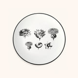Plato Ensalada Herbariae Blanco. Set de 4