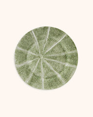 Plato Ensalada Melón 23 cm. Set de 4