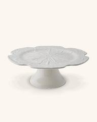 Pastelero Repollo Blanco