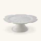 Pastelero Repollo Blanco