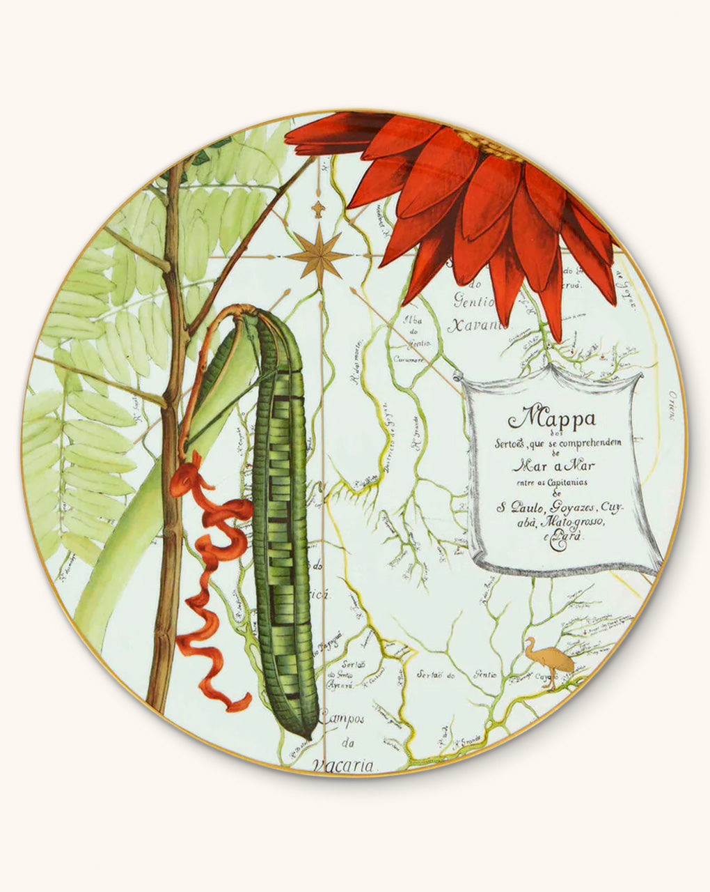 Plato de presentación amazonia