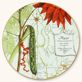 Plato de presentación amazonia